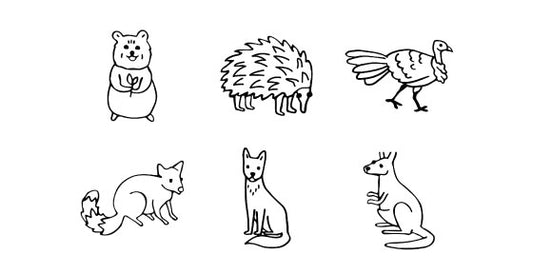 'Australian Animal 3.0' Bundle