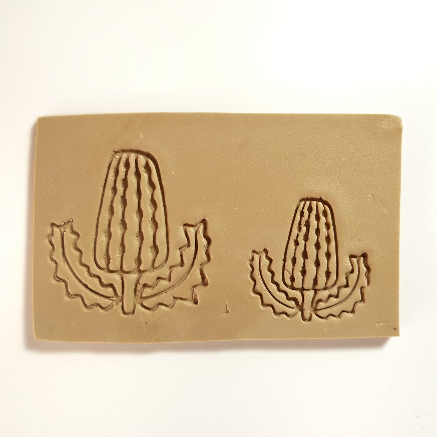 'Australian Native 2.0' Bundle