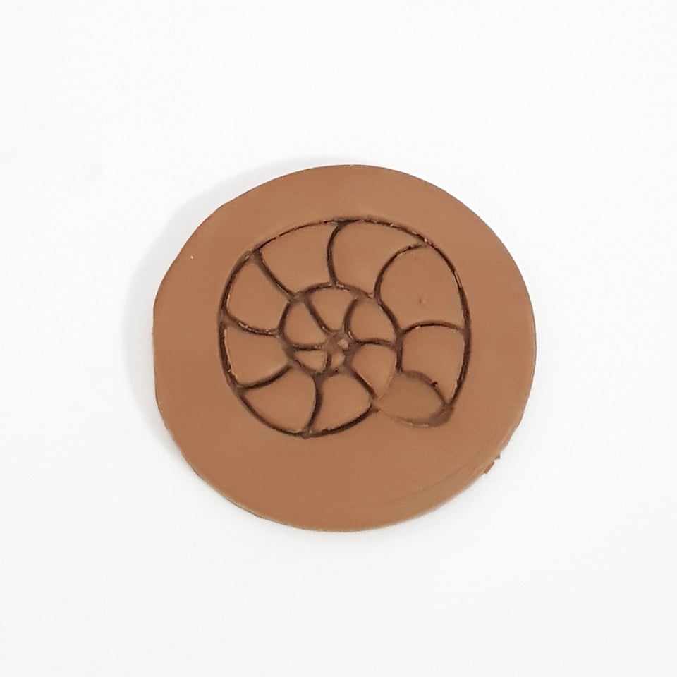 Sand Snail Shell Stamp