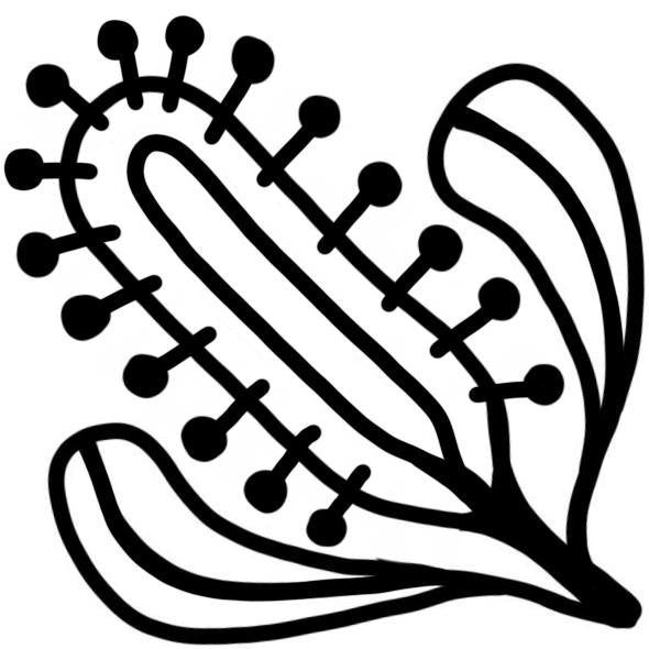 Callistemon Stamp