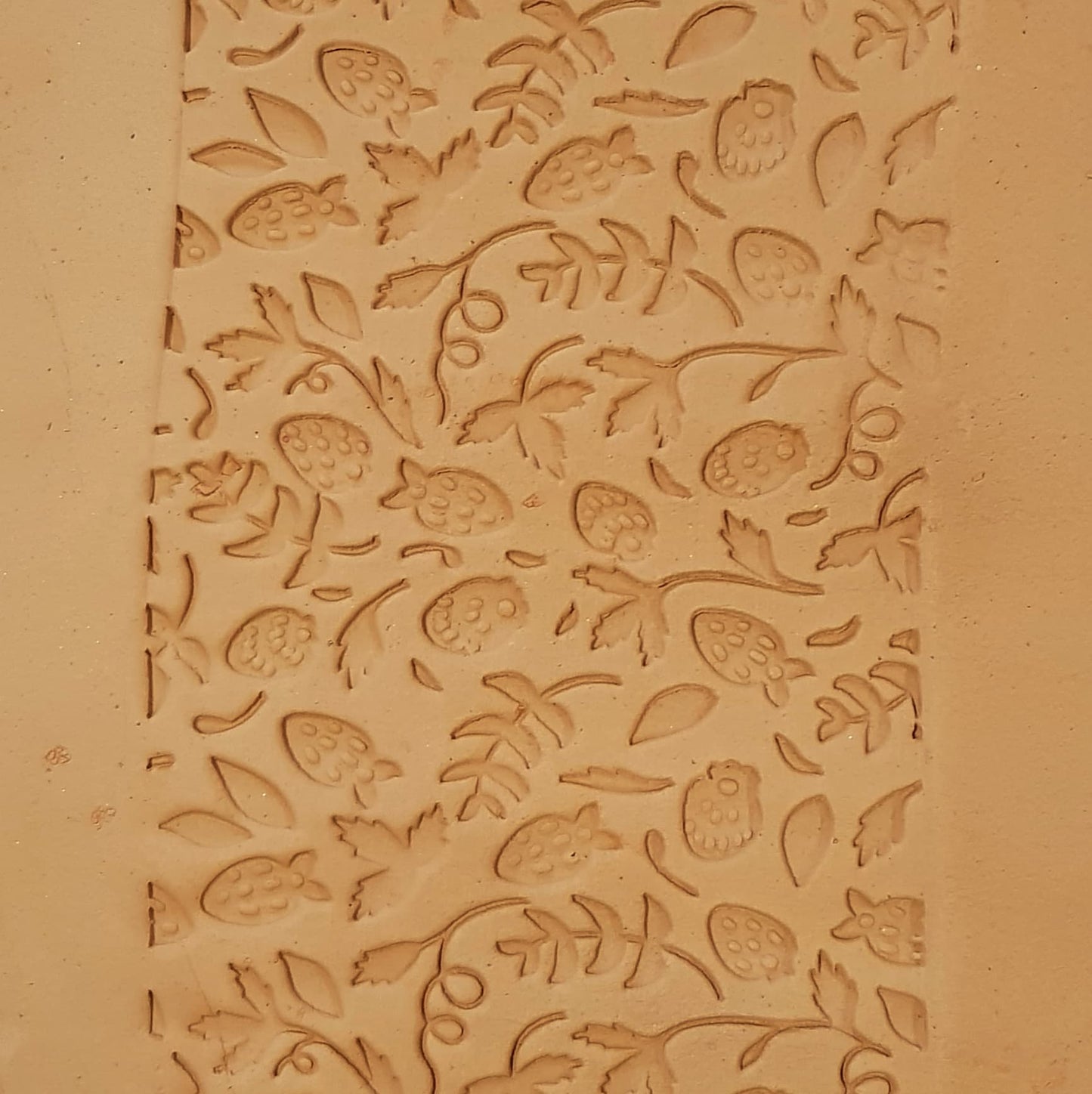 'Strawberries' Jumbo Texture Roller