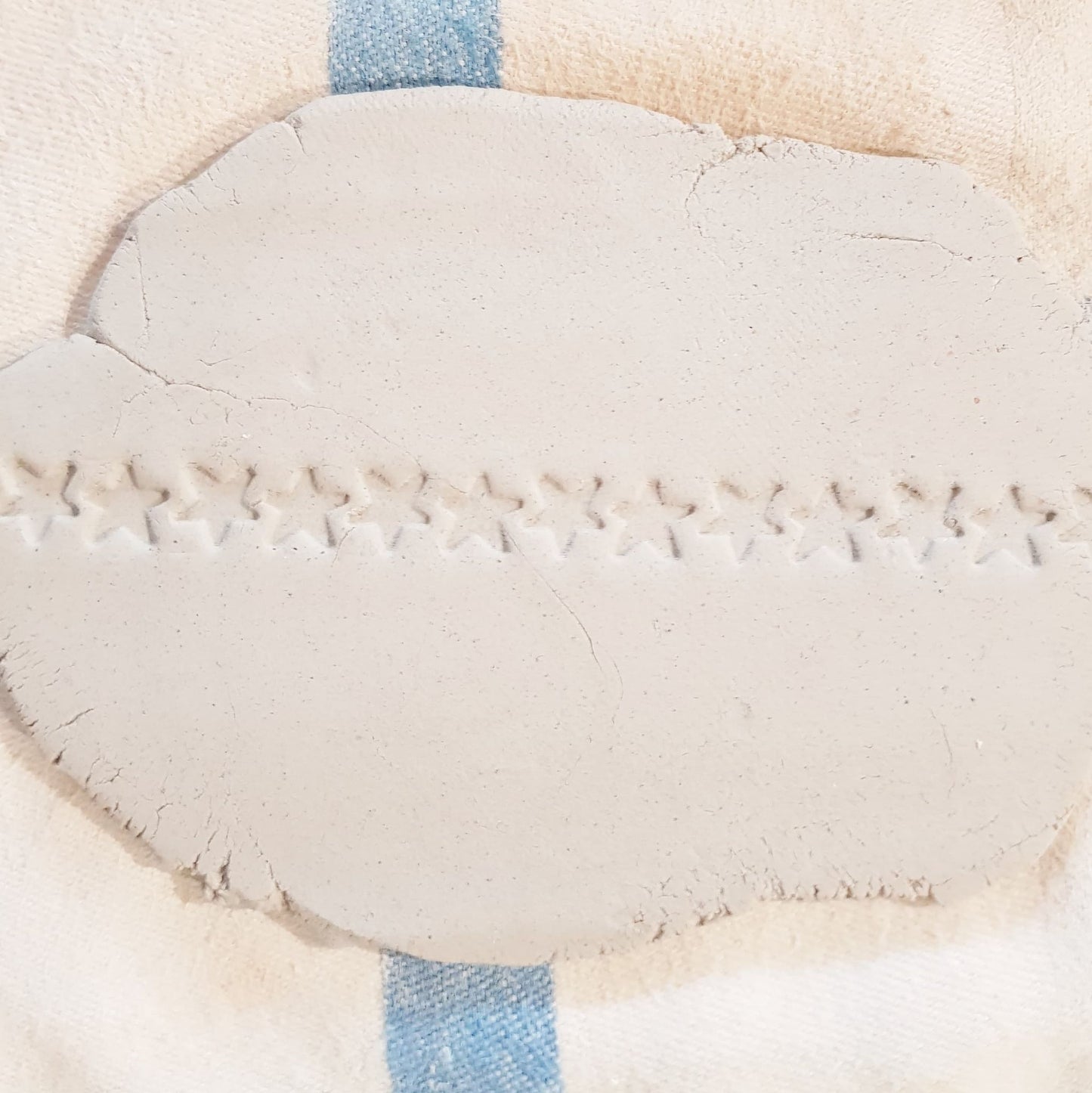 'Starry' Micro Texture Roller