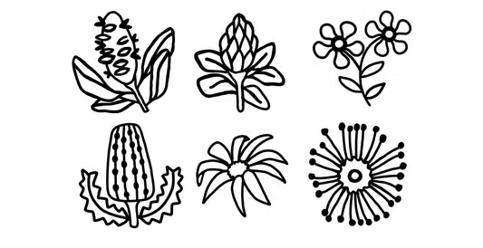 'Australian Native 2.0' Bundle