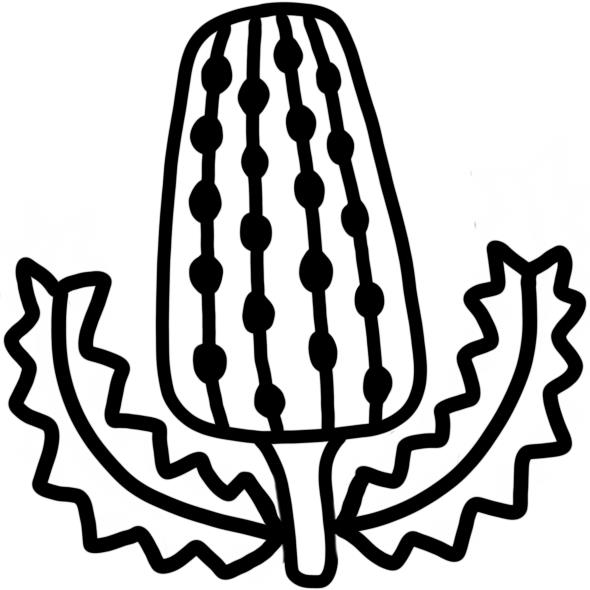 Banksia Stamp