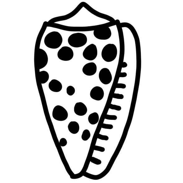 Conidae Shell Stamp