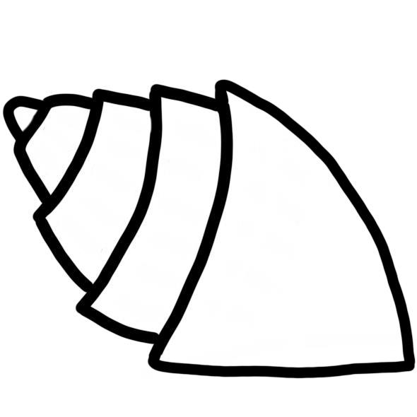 'What The Shell!' Bundle