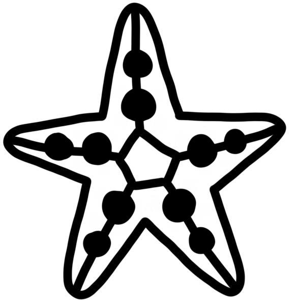 Starfish Stamp