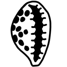 Load image into Gallery viewer, Cowrie Shell Stamp
