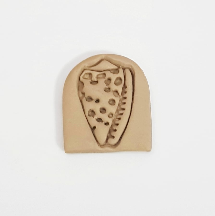 Conidae Shell Stamp