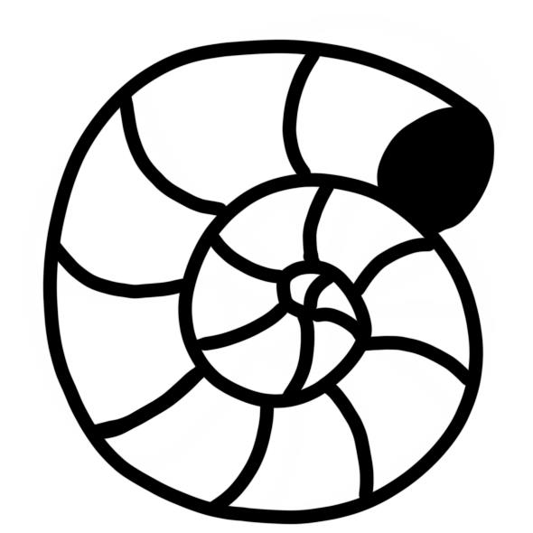 Sand Snail Shell Stamp