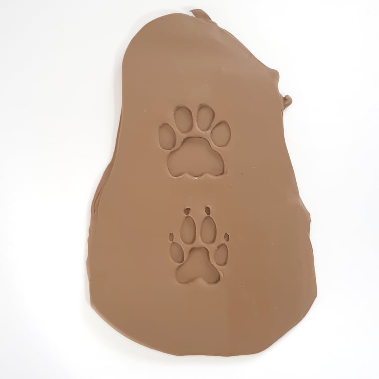 Cat Paw Print Stamp