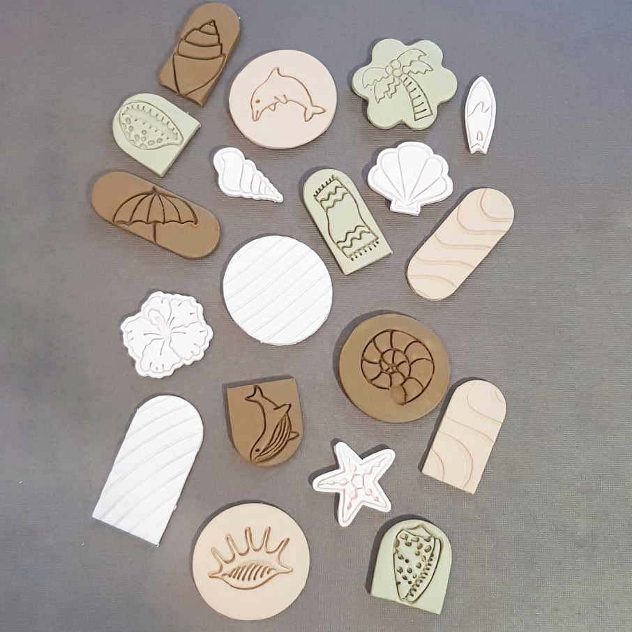 Conidae Shell Stamp