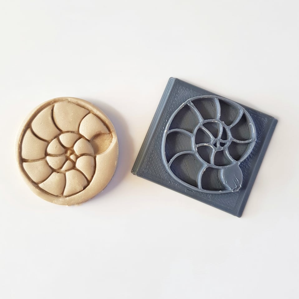 Sand Snail Shell Stamp