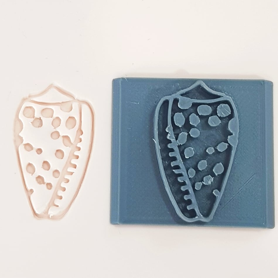 Conidae Shell Stamp