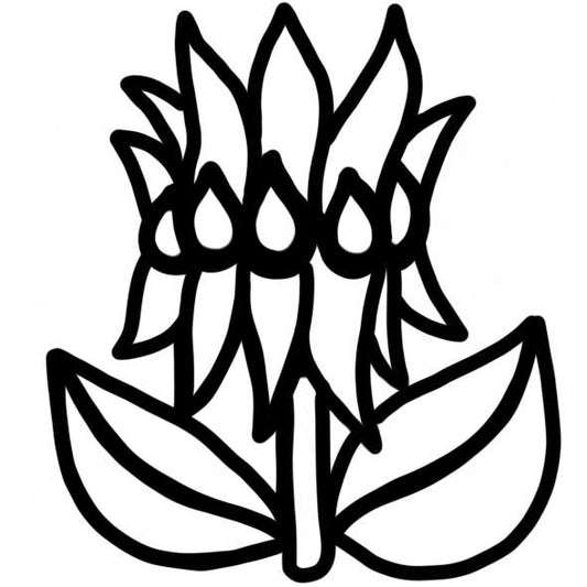 Sturt's Desert Pea Stamp